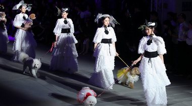 刷爆朋友圈的「曼諾.比菲」時裝發布會，你打Call了嗎？