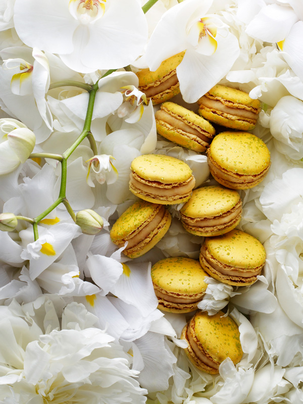 Pierre Hermé Paris 限量季節創作將在港面世
