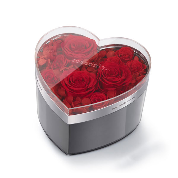 roseonly 2016情人節至臻好禮