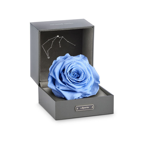 roseonly 2016情人節至臻好禮