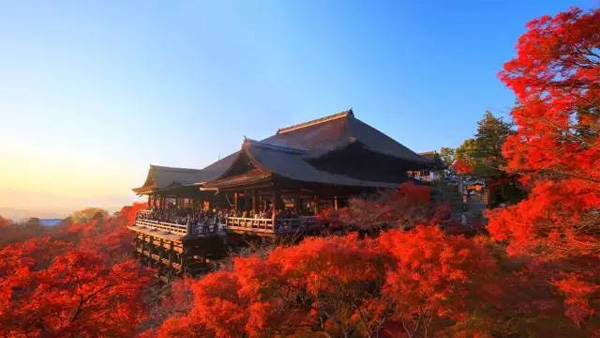 京都四季酒店，12世紀池庭內的現代綠洲
