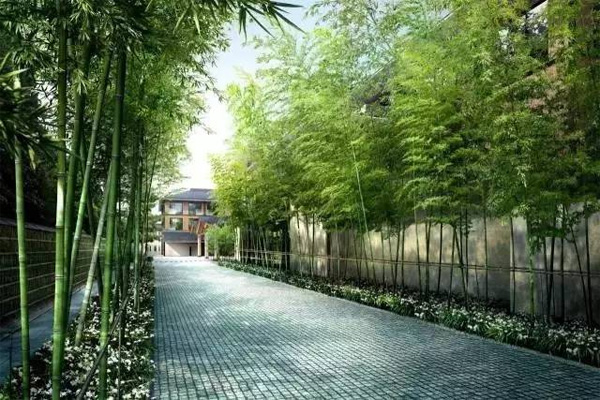 京都四季酒店，12世紀池庭內的現代綠洲
