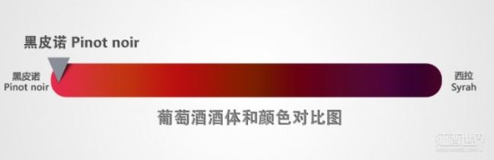 黑皮諾非常善變，因產區和年份的不同，它會表現出迥然不同的風味，而不同國家出產的黑皮諾葡萄酒也各具自己的特色。
