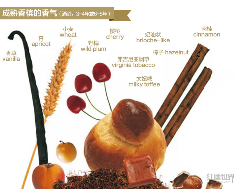 圖解香檳的香氣發展規律