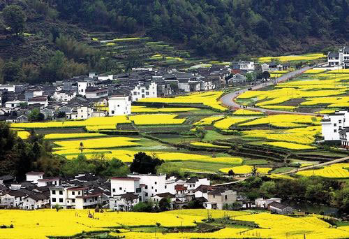 點(diǎn)擊圖片進(jìn)入第一頁