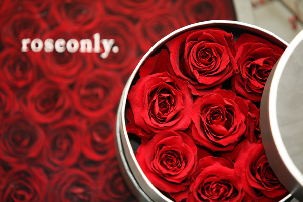 roseonly三周年 不忘初心陪你度過(guò)漫長(zhǎng)歲月