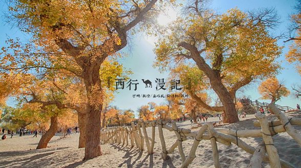 錯過就要等一年，再過不久，這里將進入全年中最美麗的時節(jié)！