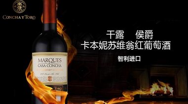 歡度卡本妮蘇維翁節(jié)， 領略“紅葡萄之王”的風采