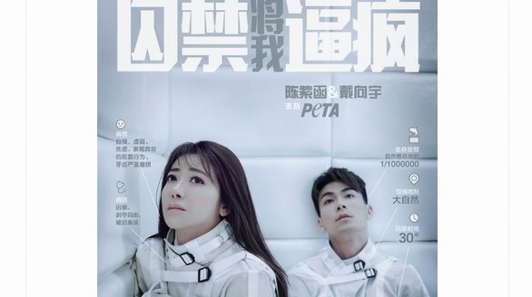 陳紫函、戴向宇拍攝PETA公益廣告“囚禁將我逼瘋”