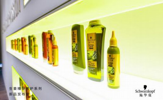 生姜護發養生模式開啟，施華蔻攜手朱一龍強韌從頭開始