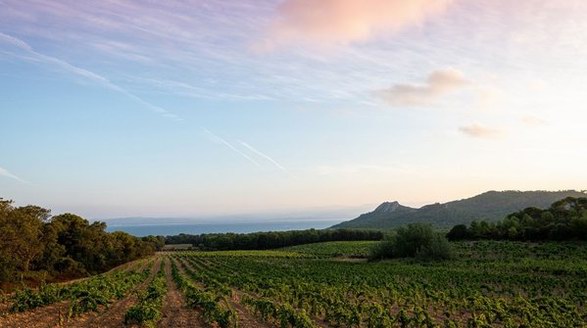 打造無懼時光的經典，香奈兒集團正式收購萊爾酒莊(DOMAINE DE L'ILE)