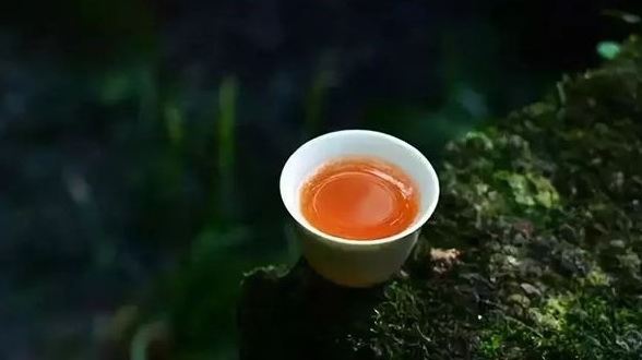 這么美的茶語，哪句讓你動容？ 