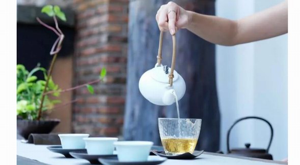 白茶是什么茶？25個關于白茶的”小白“知識