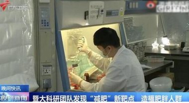 白細胞介素可直接燃燒脂肪靶點被發現，躺平減肥不是夢