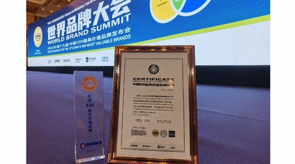 躋身品牌500強！年輕態品牌Leader持續升值