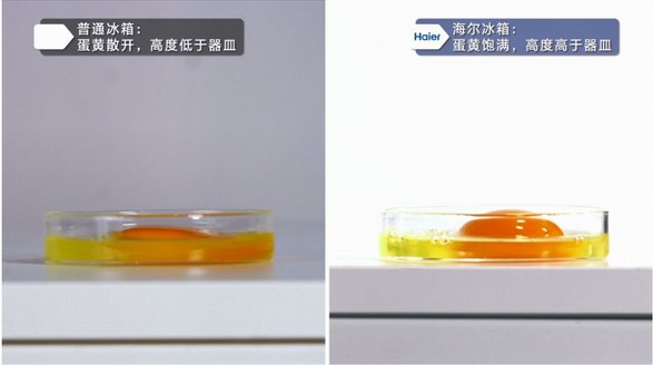 哪家冰箱保鮮強？海爾冰箱：一枚雞蛋看到領先
