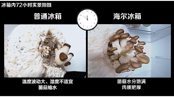極限實驗室發起保鮮挑戰，海爾冰箱完勝
