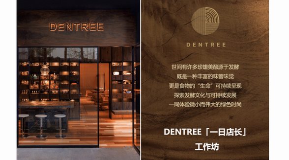 綠色生活“正在發酵” 人頭馬君度集團旗下酒吧DENTREE解鎖「一日店長」