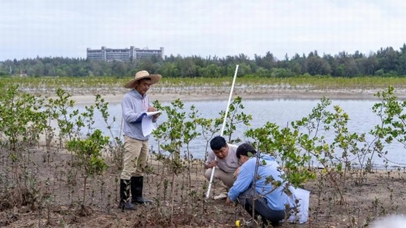 濱海生態再添新綠 各方聚力共護生物多樣性 馬爹利在瓊粵兩地同步啟動紅樹林保護項目第三階段工作
