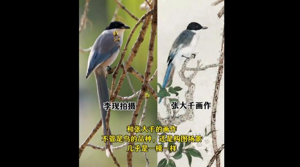 李現(xiàn) “打鳥”作品與張大千畫作神似  生態(tài)藝術引跨時空對話